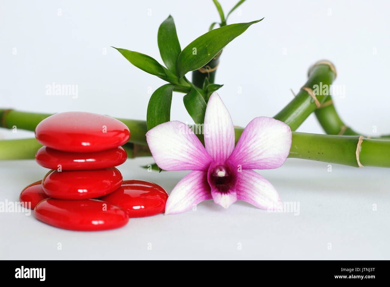 Red pebbles arranged in Zen lifestyle with a two-tone orchid on the right side of the twisted bamboo set behind the whole on a white background Stock Photo