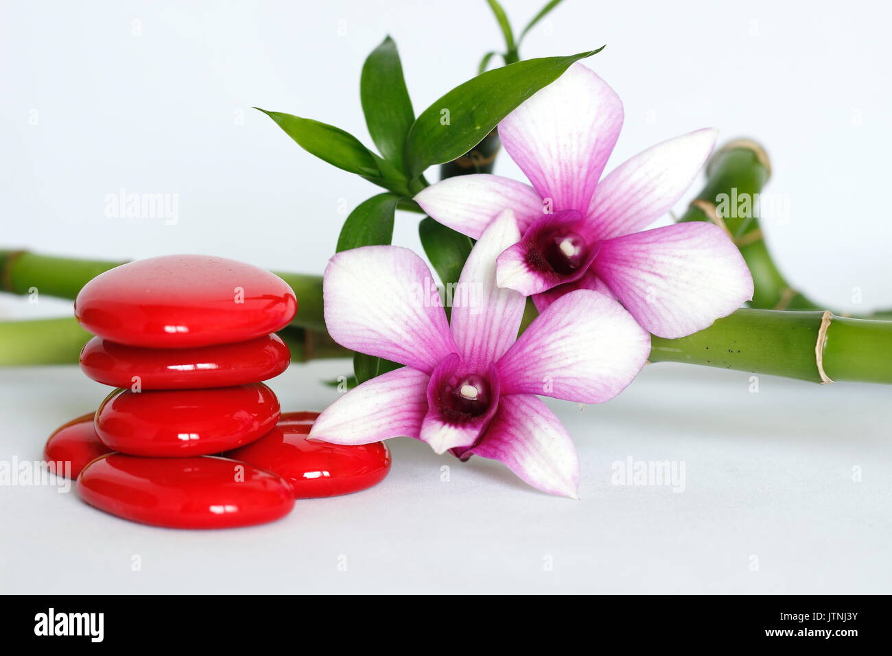 Red pebbles arranged in zen lifestyle with two bicoloured orchids on the right side of the twisted bamboo set at the back all on a white background Stock Photo