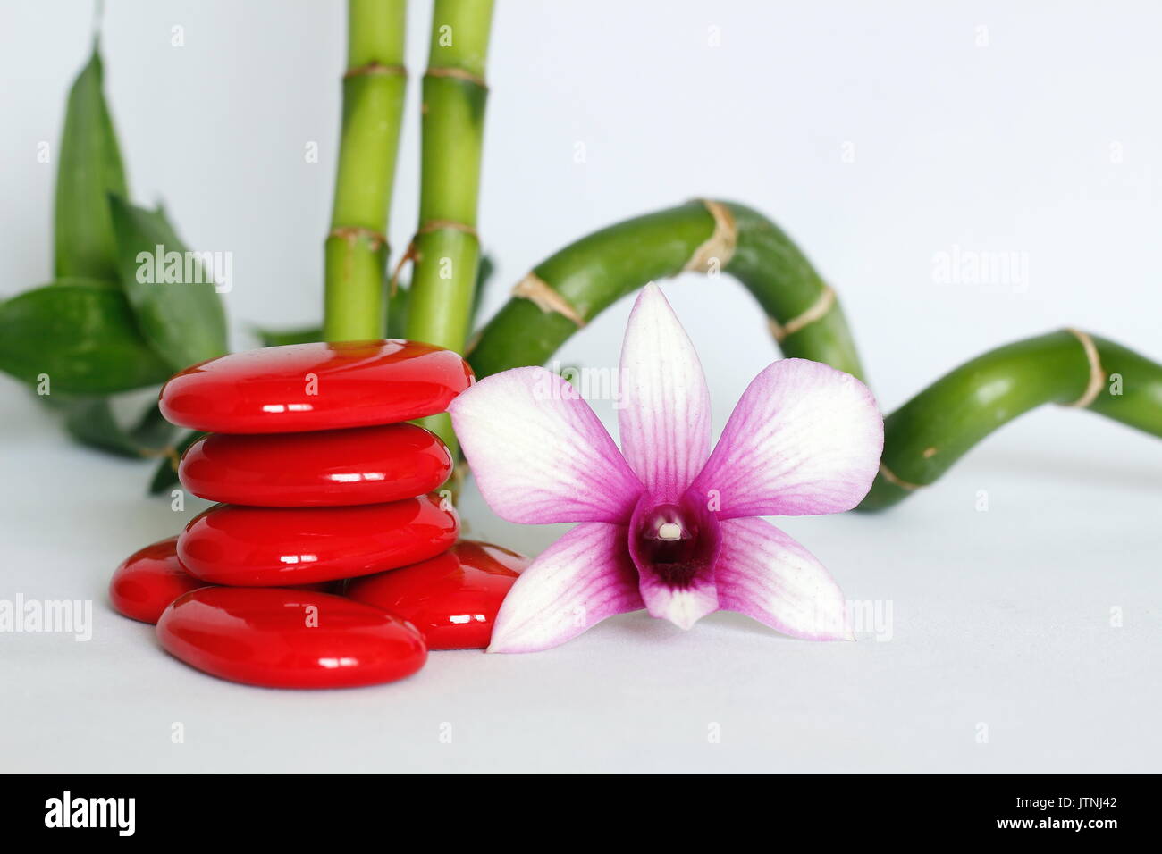 Red pebbles arranged in zen lifestyle with a two-tone orchids on the right side of the bamboo straight and twisted all on a white background Stock Photo