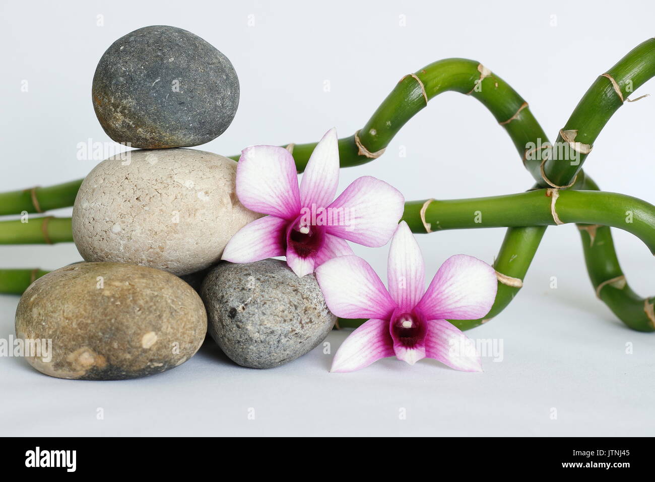 Natural gray pebbles arranged in zen lifestyle with two bicoloured orchids on the right side of bamboo twisted on white background Stock Photo