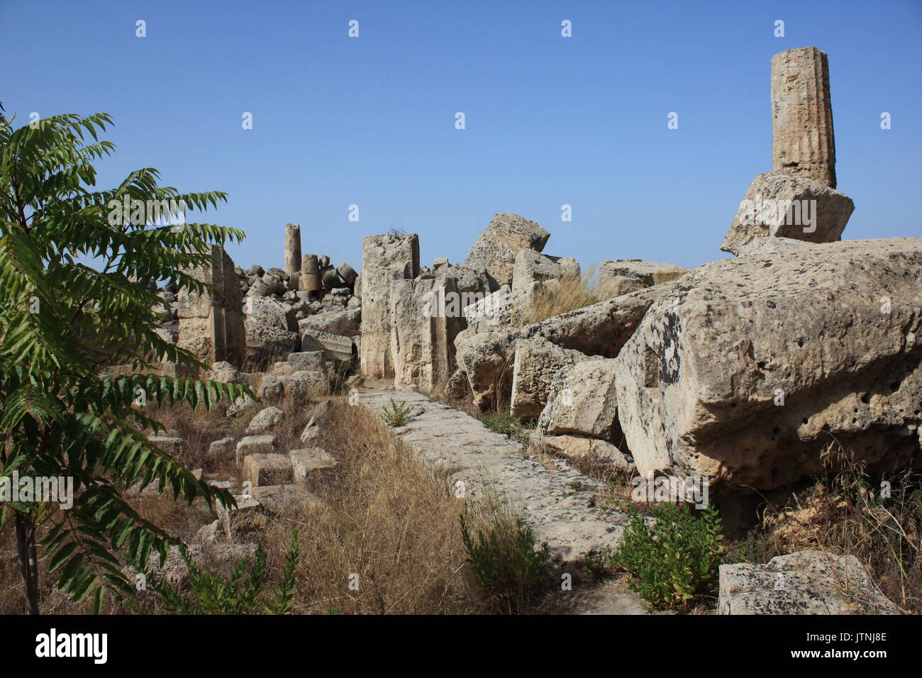 Greek temple in Selinunte Stock Photo - Alamy