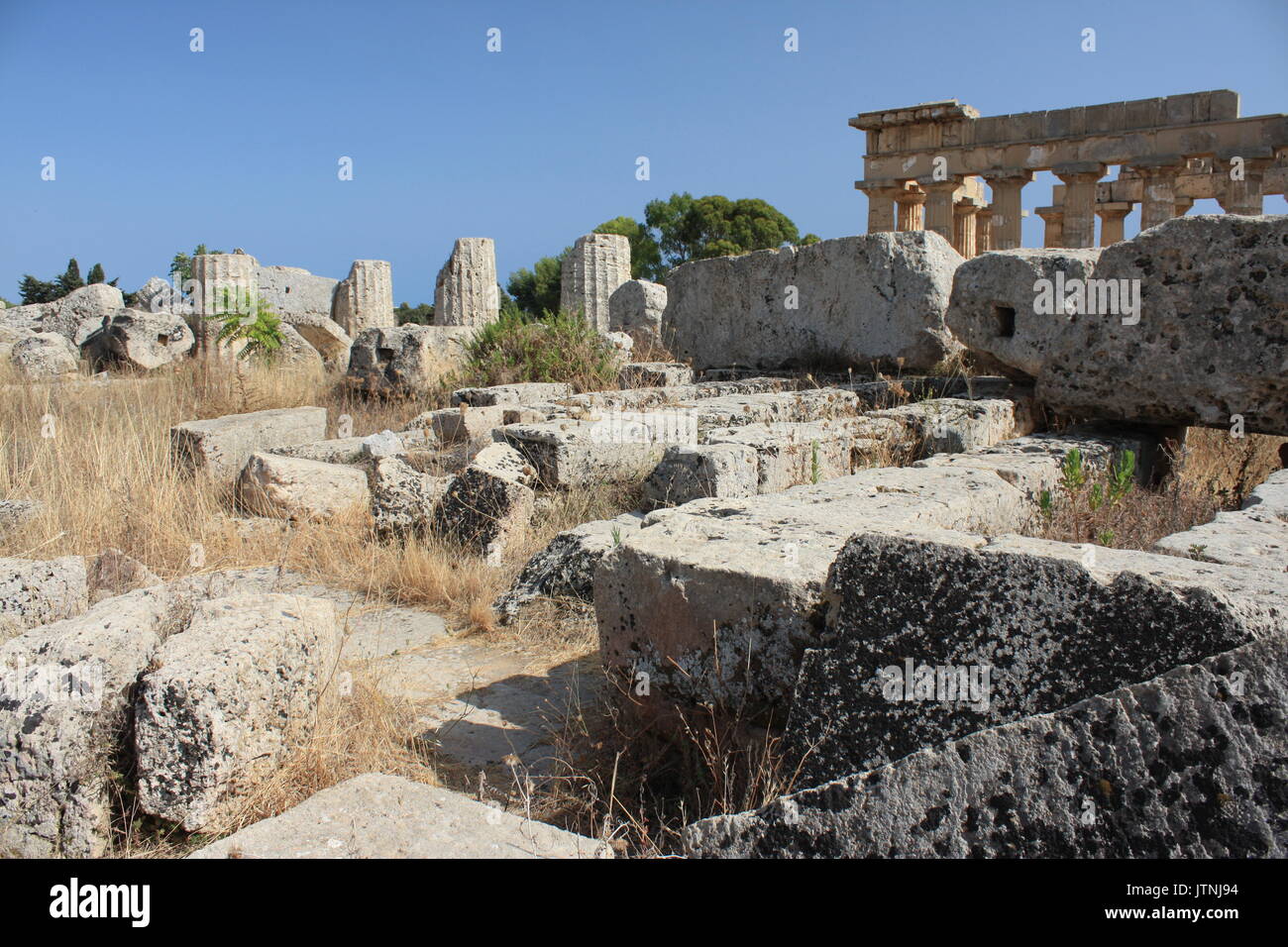 Greek temple in Selinunte Stock Photo - Alamy