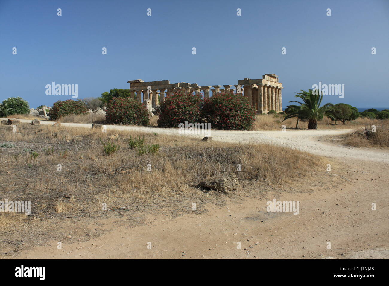 Greek temple in Selinunte Stock Photo - Alamy