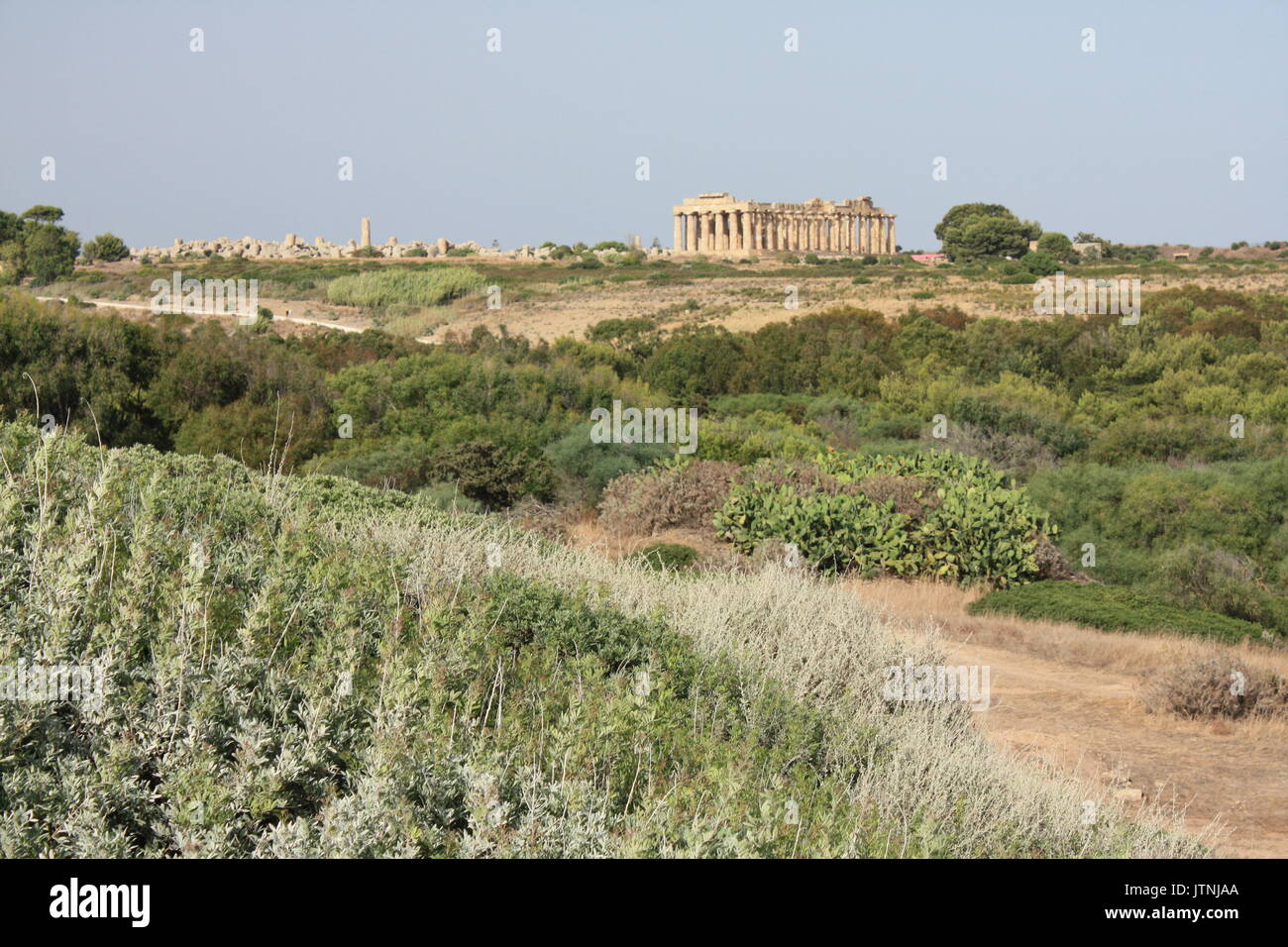 Greek temple in Selinunte Stock Photo - Alamy
