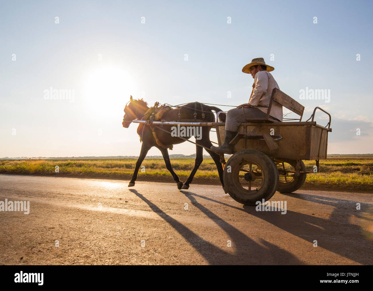 Man in horse drawn cart hi-res stock photography and images - Alamy