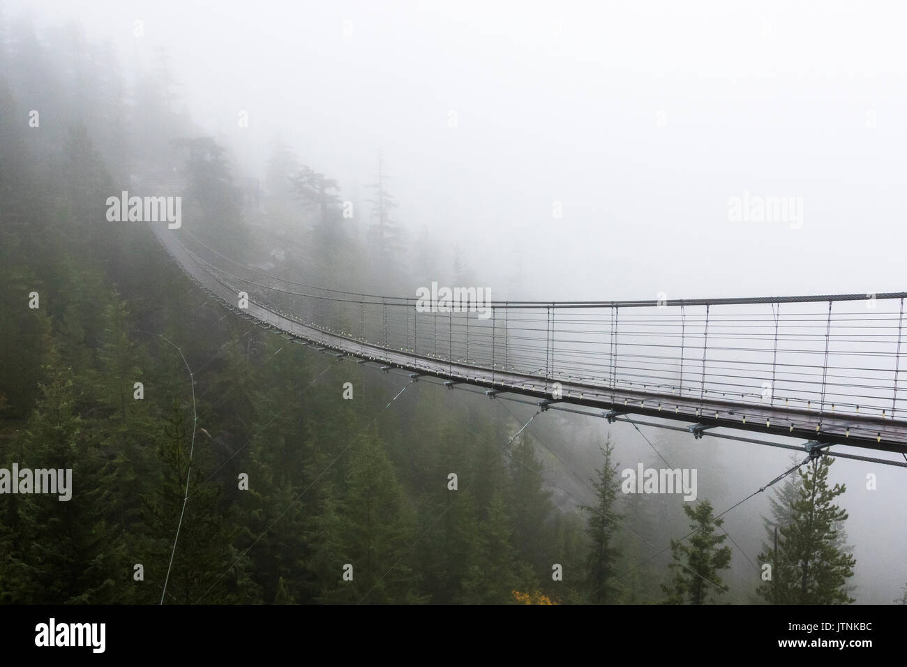 A Misty suspension bridge, Squamish, British Columbia. Stock Photo