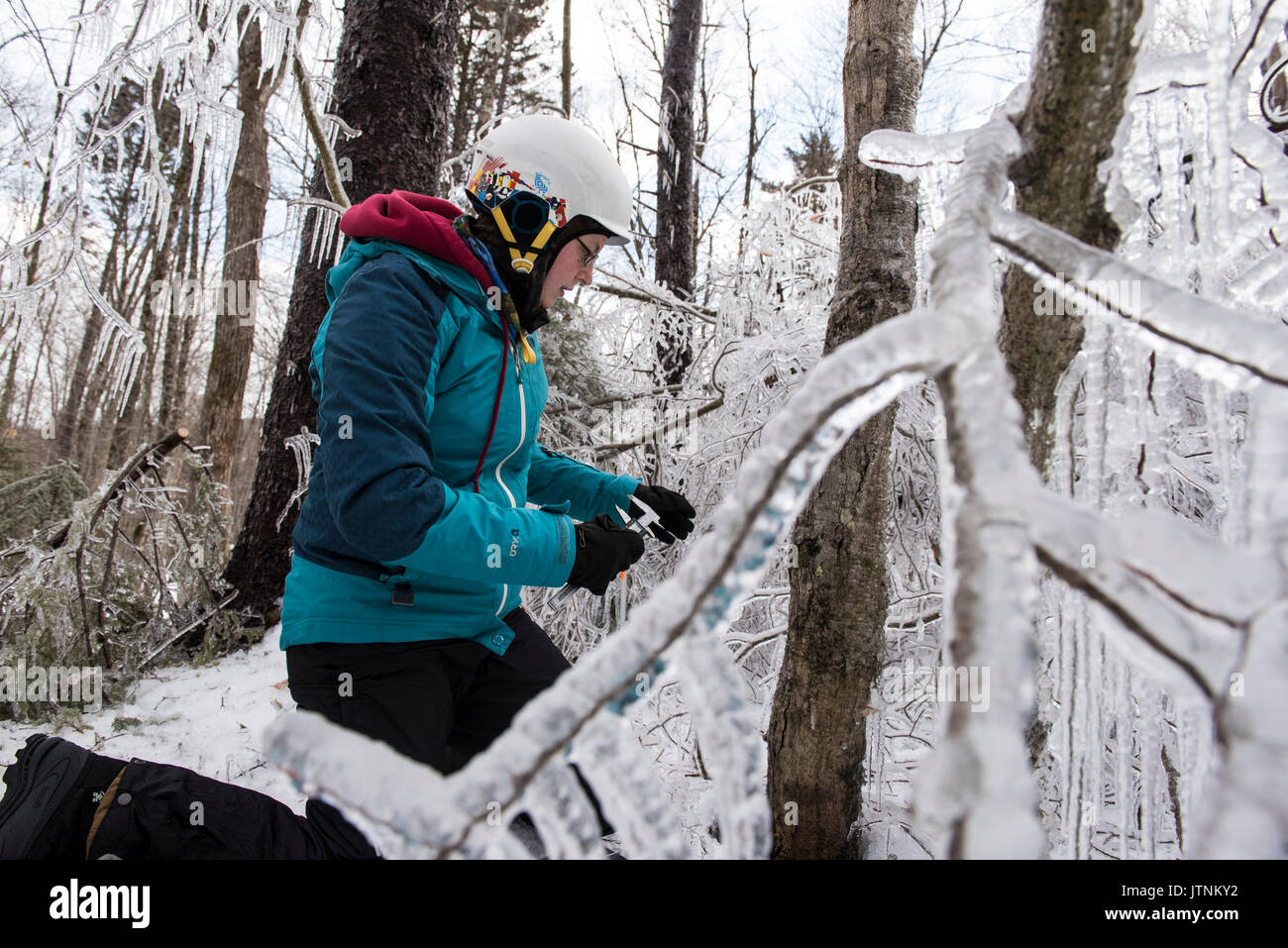 A team of researchers replicating an ice storm during winter in the White Mountains of New Hampshire. The team is studying the effects of ice storms on soil, trees, birds and insects. Stock Photo