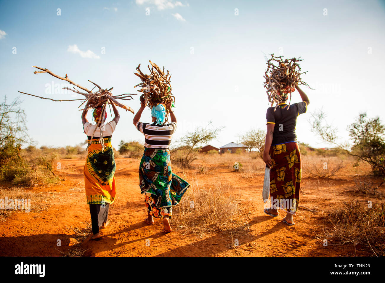 Zainabu Ramadhani, 19, (yellow and red patterned skirt) her mother Fatma Mziray, age 38, (blue head dress) and Fatmaâs sister-in-law Zaitun Hamad, 18, (orange wrap and white top) walk home after gathering firewood near Fatmaâs home in Mforo. Mforo is near Moshi, Tanzania. Fatma Mziray is a Solar Sister entrepreneur who sells both clean cookstoves and solar lanterns. Fatma heard about the cookstoves from a Solar Sister development associate and decided to try one out. Stock Photo