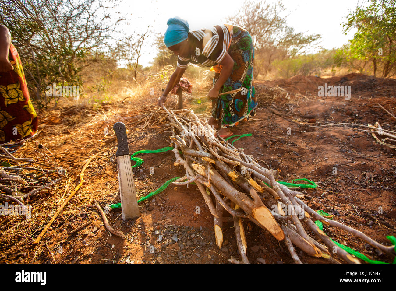 Zainabu Ramadhani, 19, (yellow and red patterned skirt) her mother Fatma Mziray, age 38, (blue head dress) and Fatmaâs sister-in-law Zaitun Hamad, 18, (orange wrap and white top) walk home after gathering firewood near Fatmaâs home in Mforo. Mforo is near Moshi, Tanzania. Fatma Mziray is a Solar Sister entrepreneur who sells both clean cookstoves and solar lanterns. Fatma heard about the cookstoves from a Solar Sister development associate and decided to try one out. Stock Photo