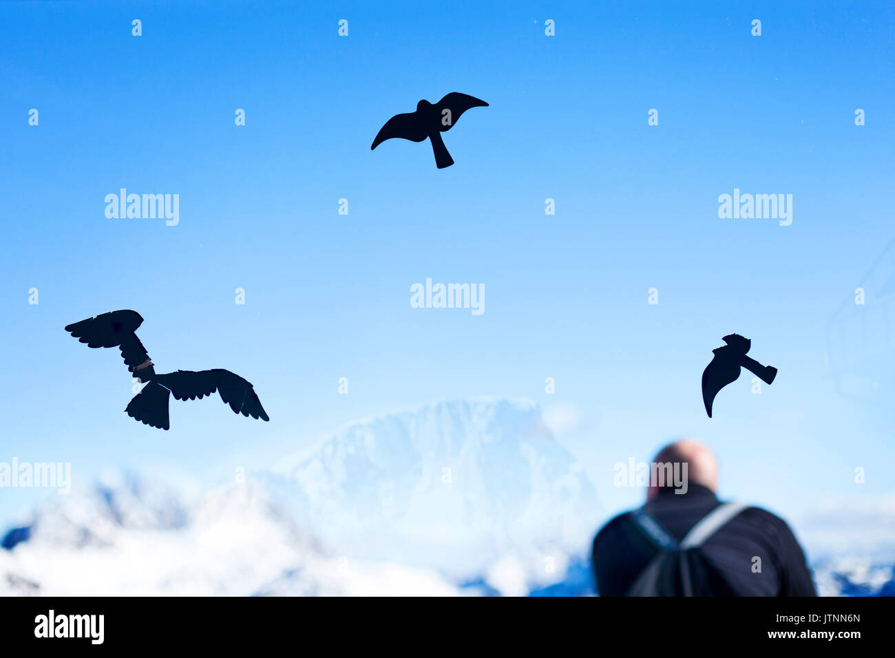 Bird stickers on window and man and mountains in background Stock Photo