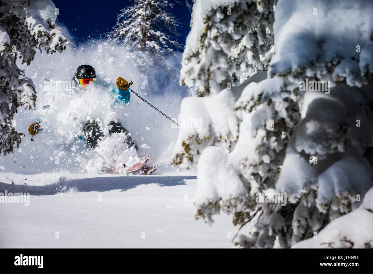 Tree skiing hi-res stock photography and images - Alamy