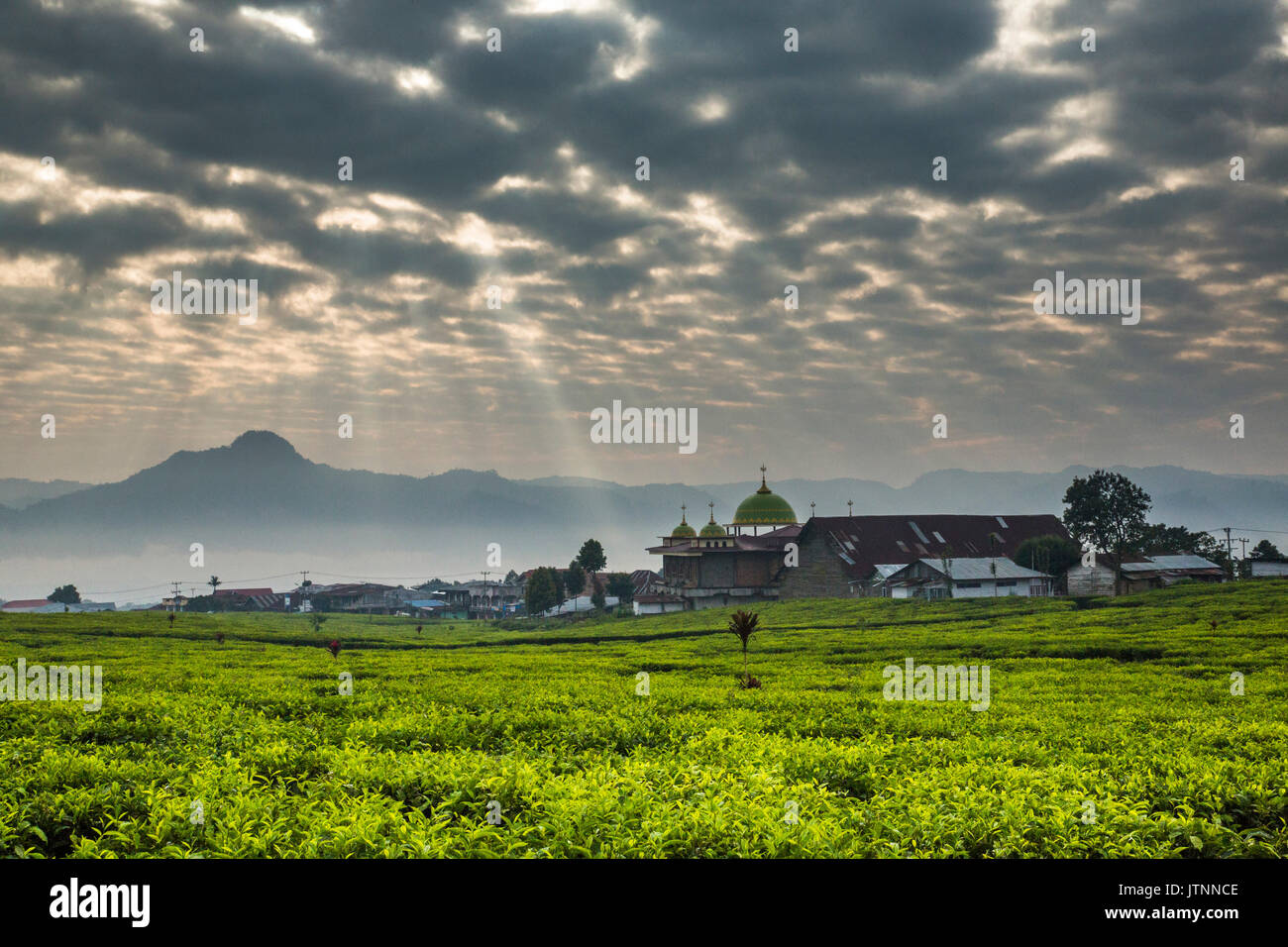 Sunlight streams through pocked clouds above a vast tea field with a small town and mosque and mountains on the horizon. Kerinci Valley, Sumatra, Indonesia Stock Photo