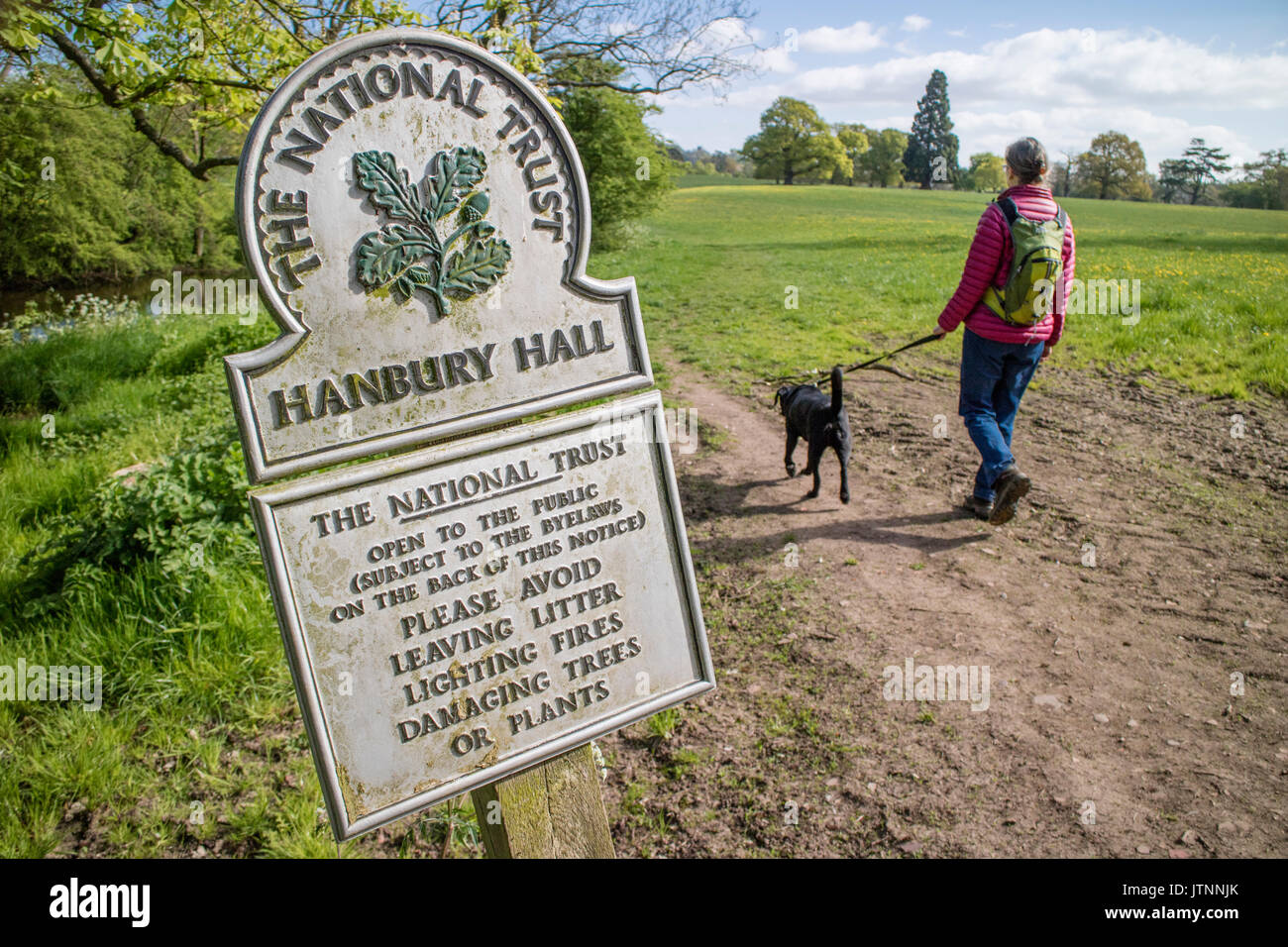 Woman walking the dog in Hanbury Park, Hanbury, Worcestershire, England, UK Stock Photo