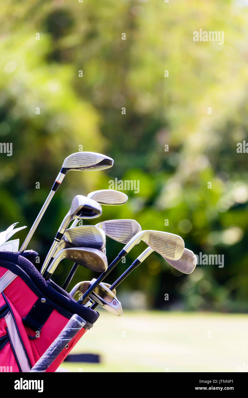 Golf clubs in golf bag, Bali, Indonesia Stock Photo Alamy