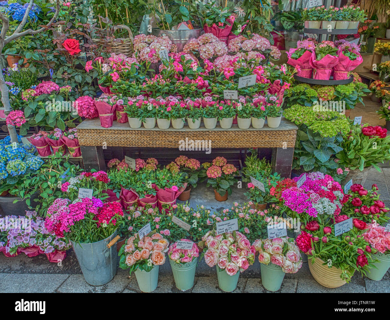 Vienna, Austria May 23, 2017 Flower Shop on a Stephansplatz street