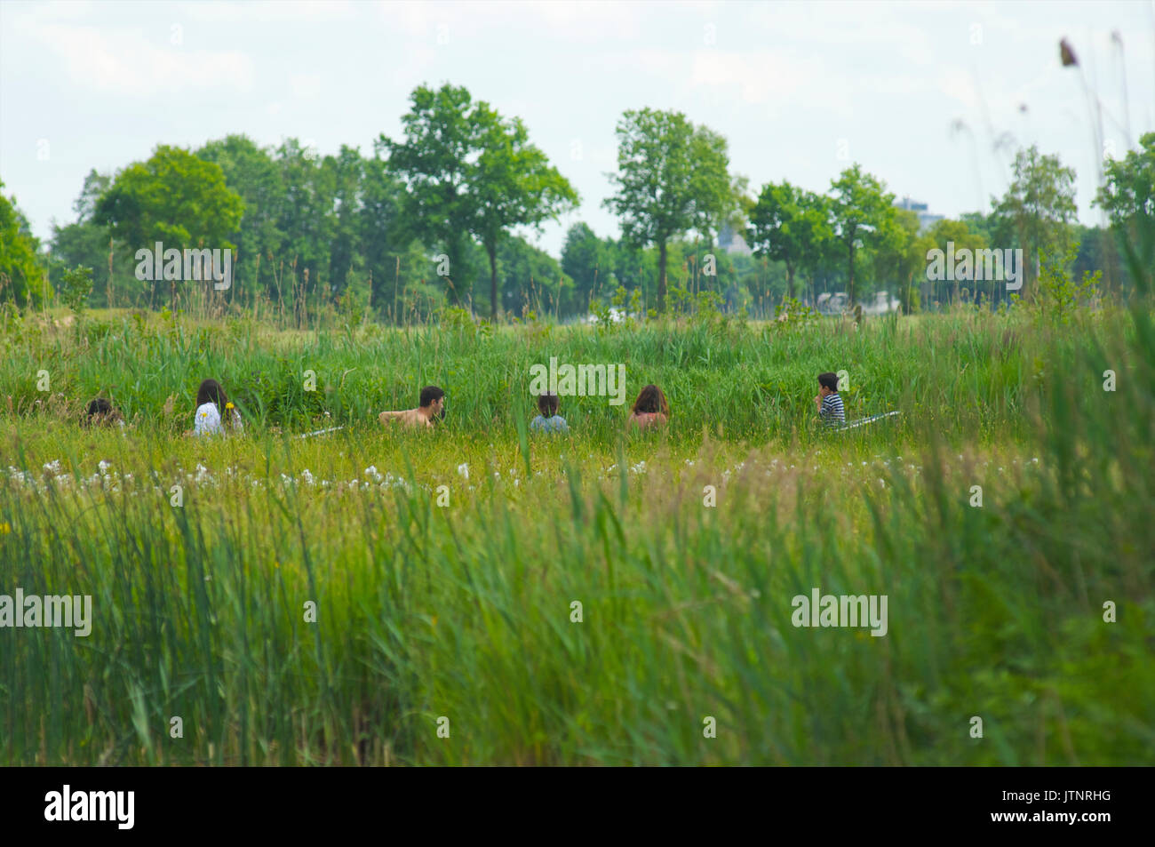 Heads sticking out over reed from people in boats sailing through a canal on their wy to lake Bovenweide near Giethoorn Stock Photo