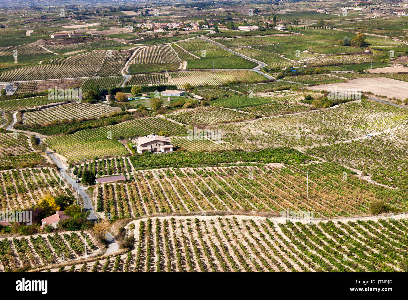 Vineyard in Laguardia, Spain Stock Photo