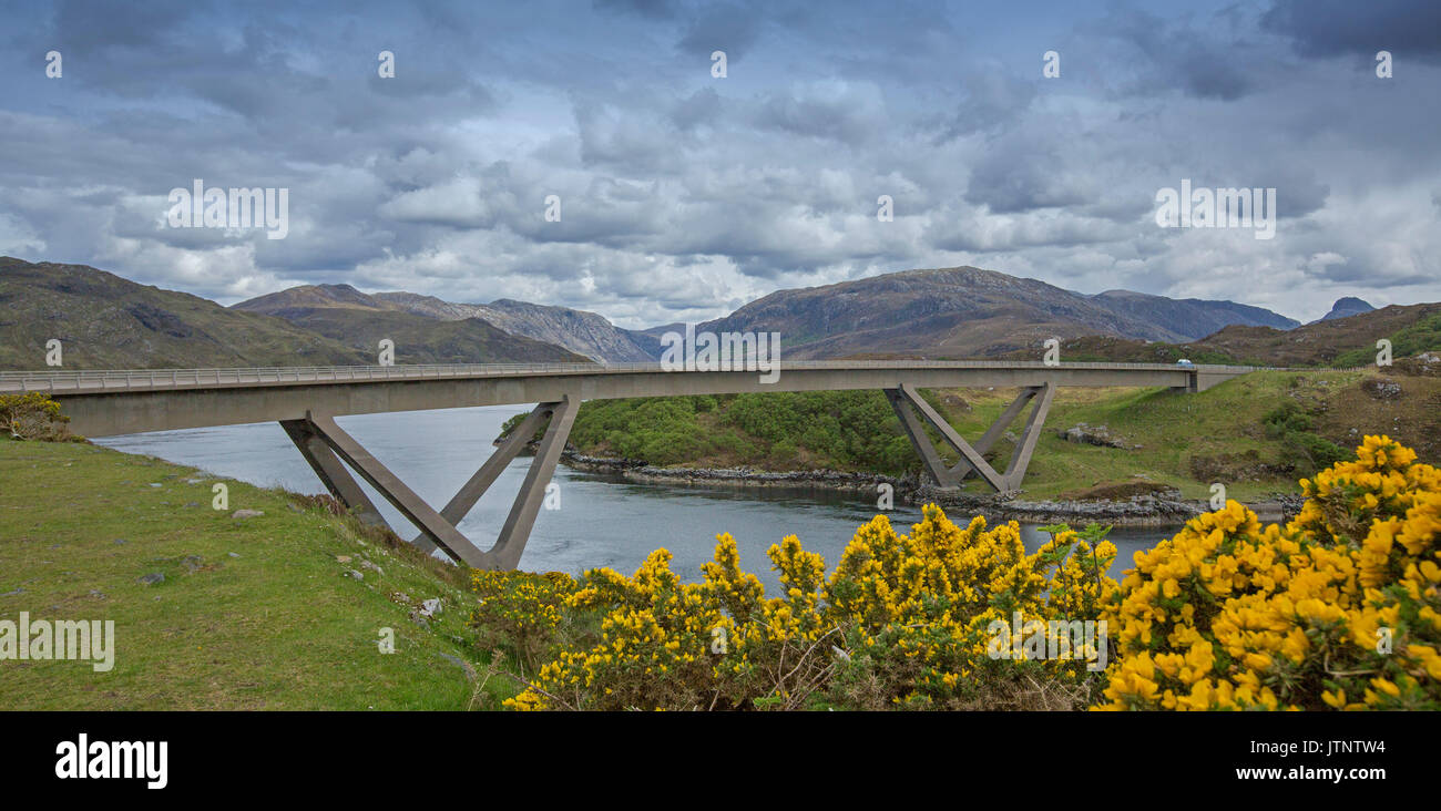 Panoramic view of unique Kylescu bridge crossing a loch in a landscape dominated by mountains, blue water, and golden flowers of gorse in Scotland Stock Photo