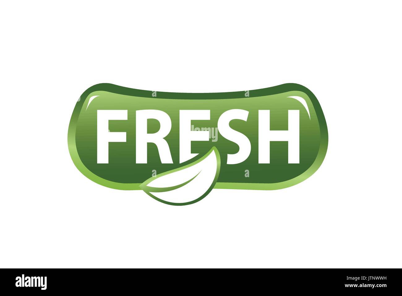 fresh within outline of leaf illustration, icon design, isolated on ...