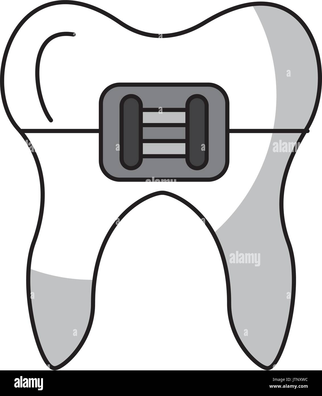 Human tooth with bracket Stock Vector Image & Art - Alamy