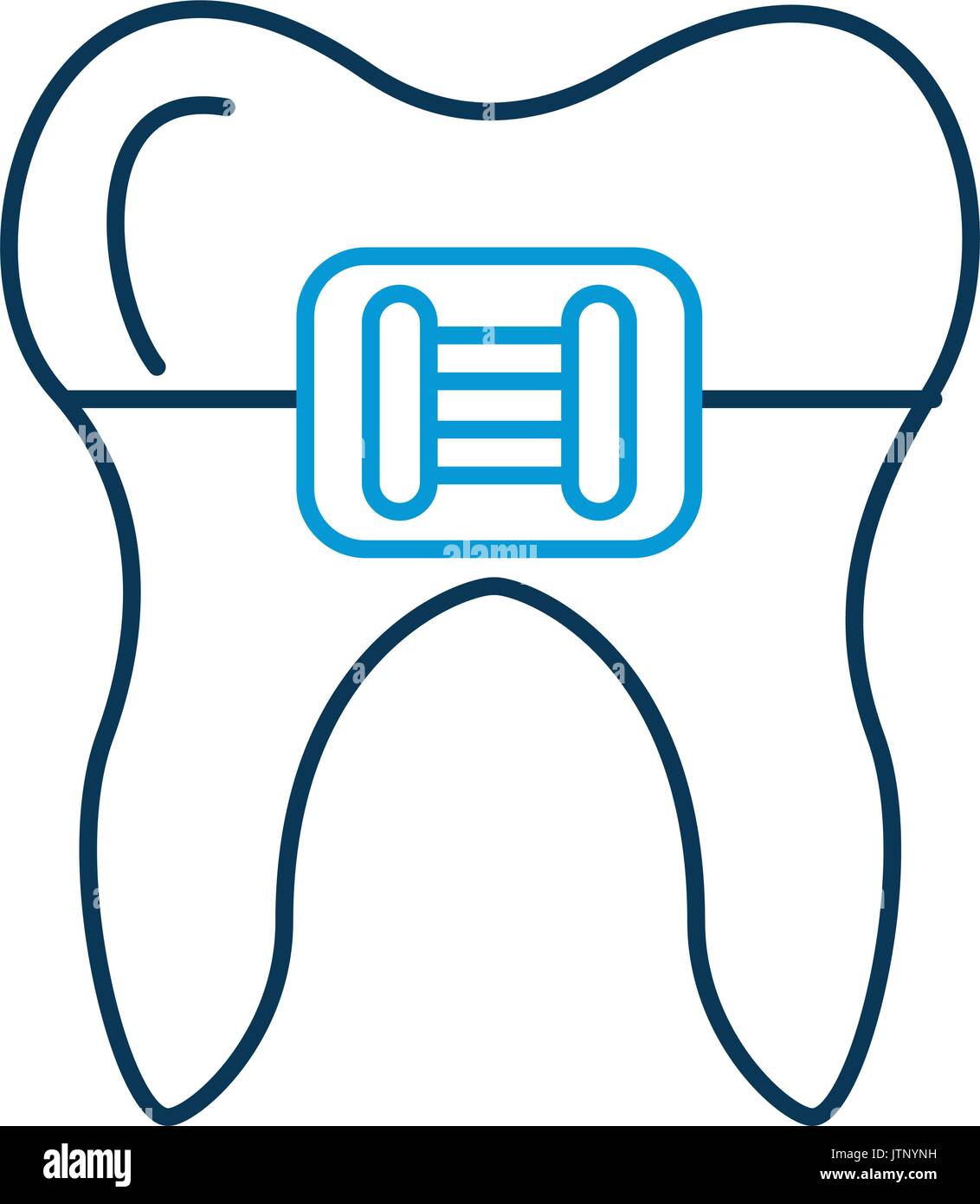 Human tooth with bracket Stock Vector Image & Art - Alamy