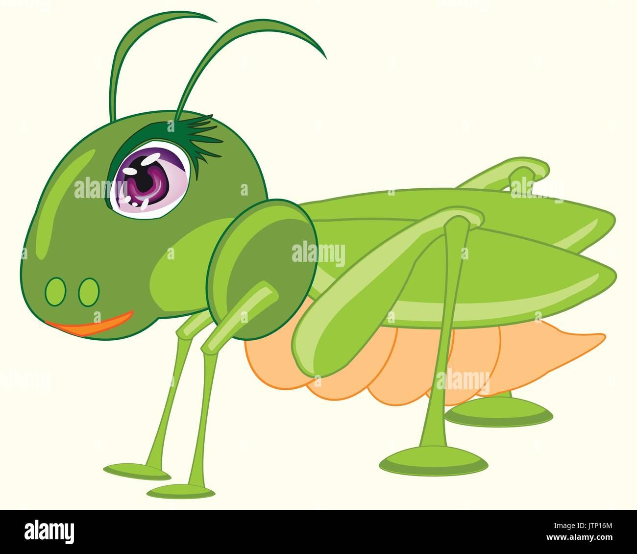 Insect green grasshopper Stock Vector Image & Art - Alamy