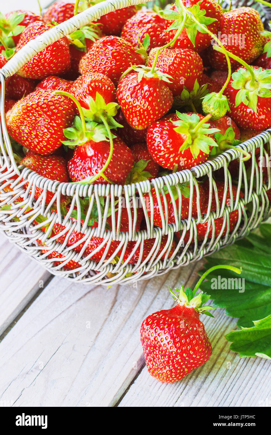 Juicy fresh strawberries in a basket on white wooden background ...