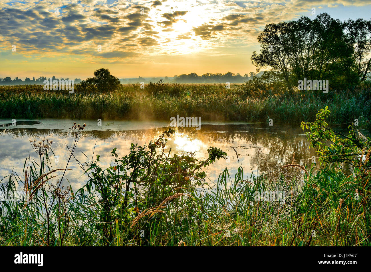 Photo with a sunny summer sunrise over the river Stock Photo - Alamy