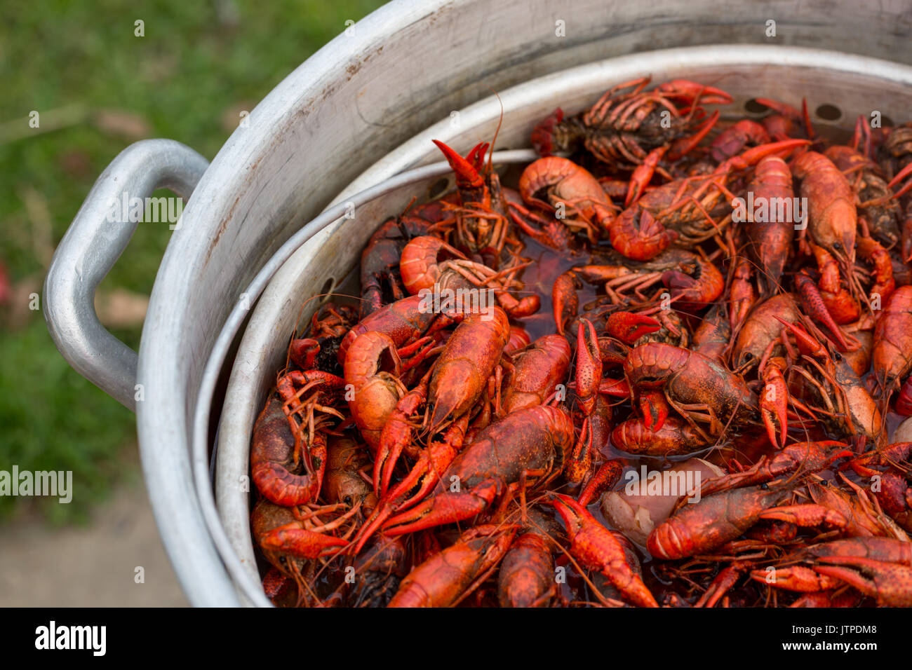 Louisiana Crawfish Boil Stock Photo