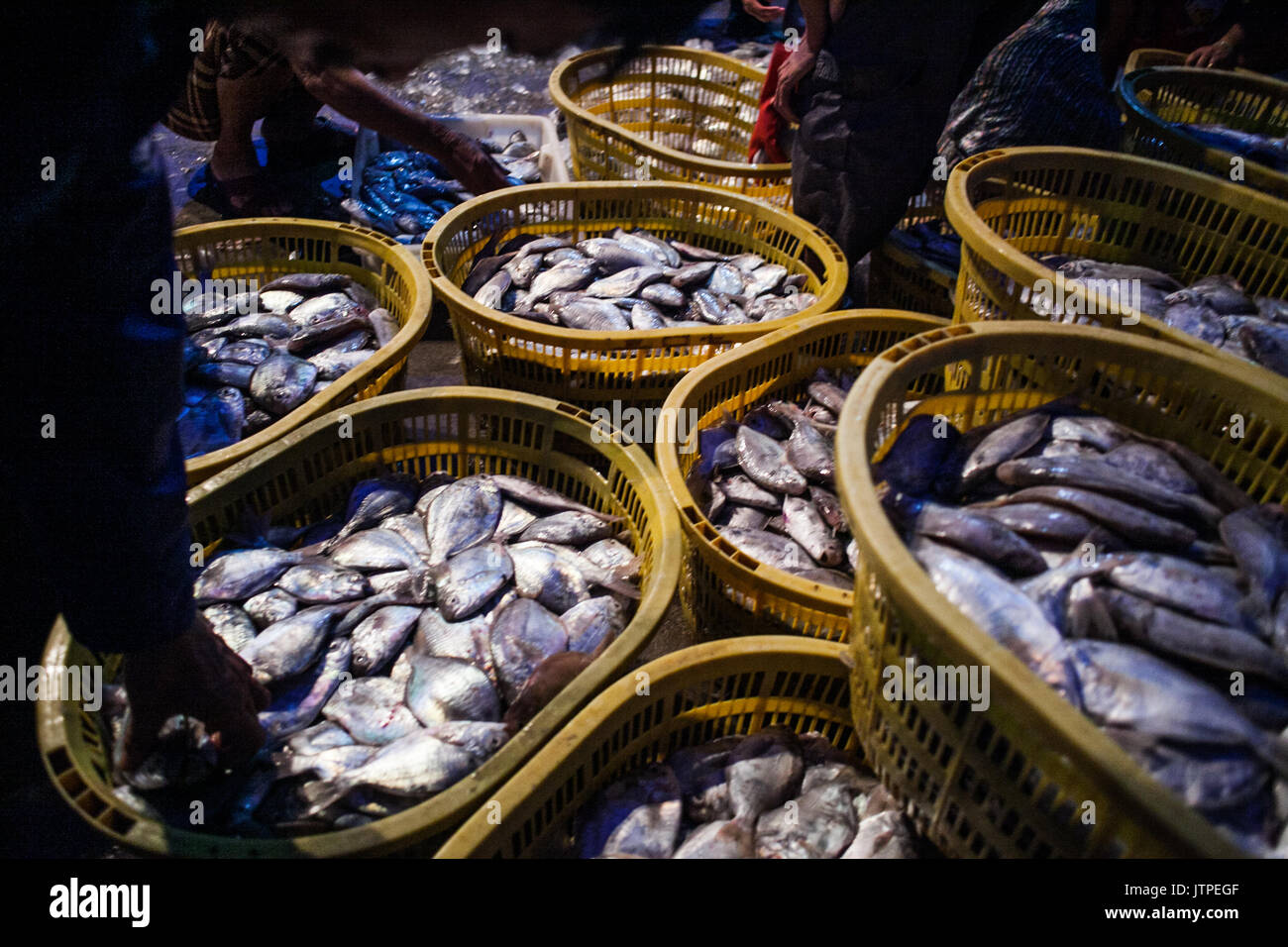 Sanya, China, fish market Stock Photo