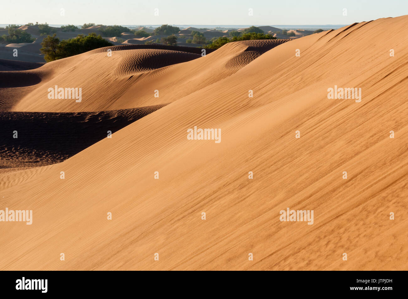 Sand dunes, Mhamid El Ghozlane Stock Photo