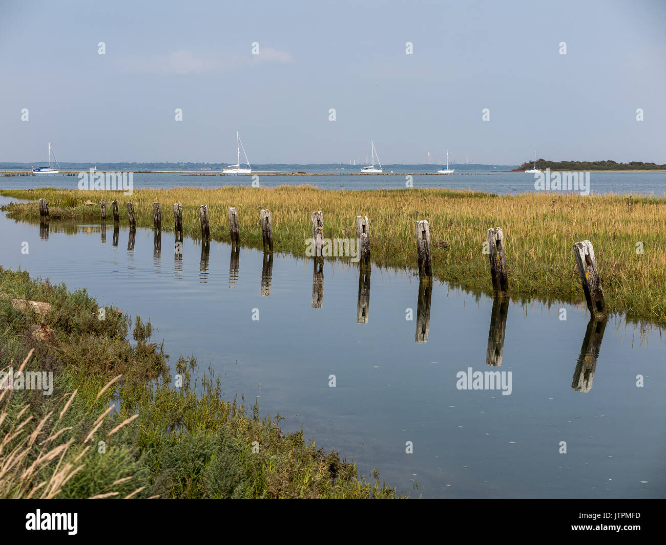 Newtown national nature reserve, Newtown, Isle of Wight, England, UK Stock Photo