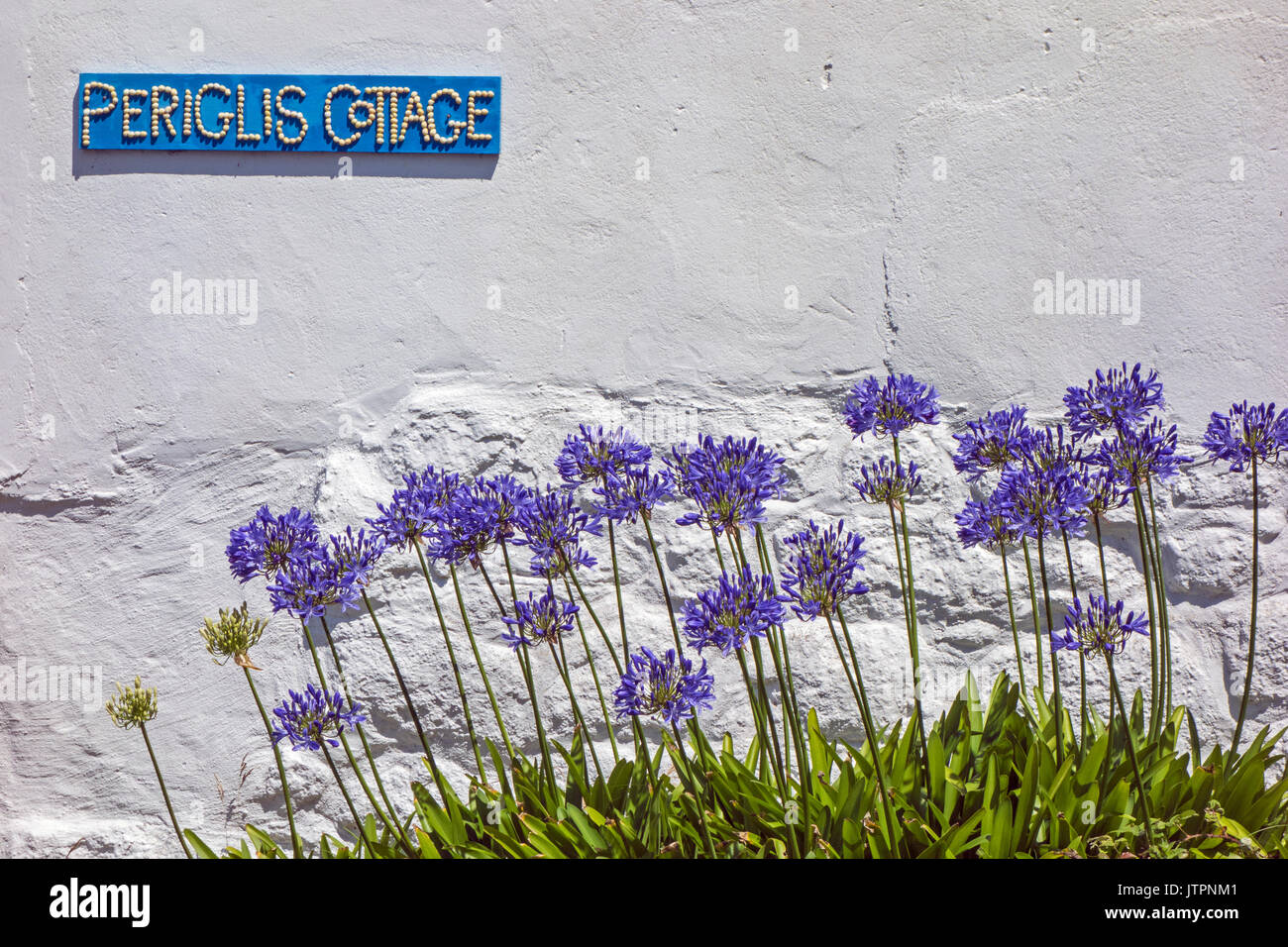 Sign For Periglis Cottage With Agapanthus Flowers In The