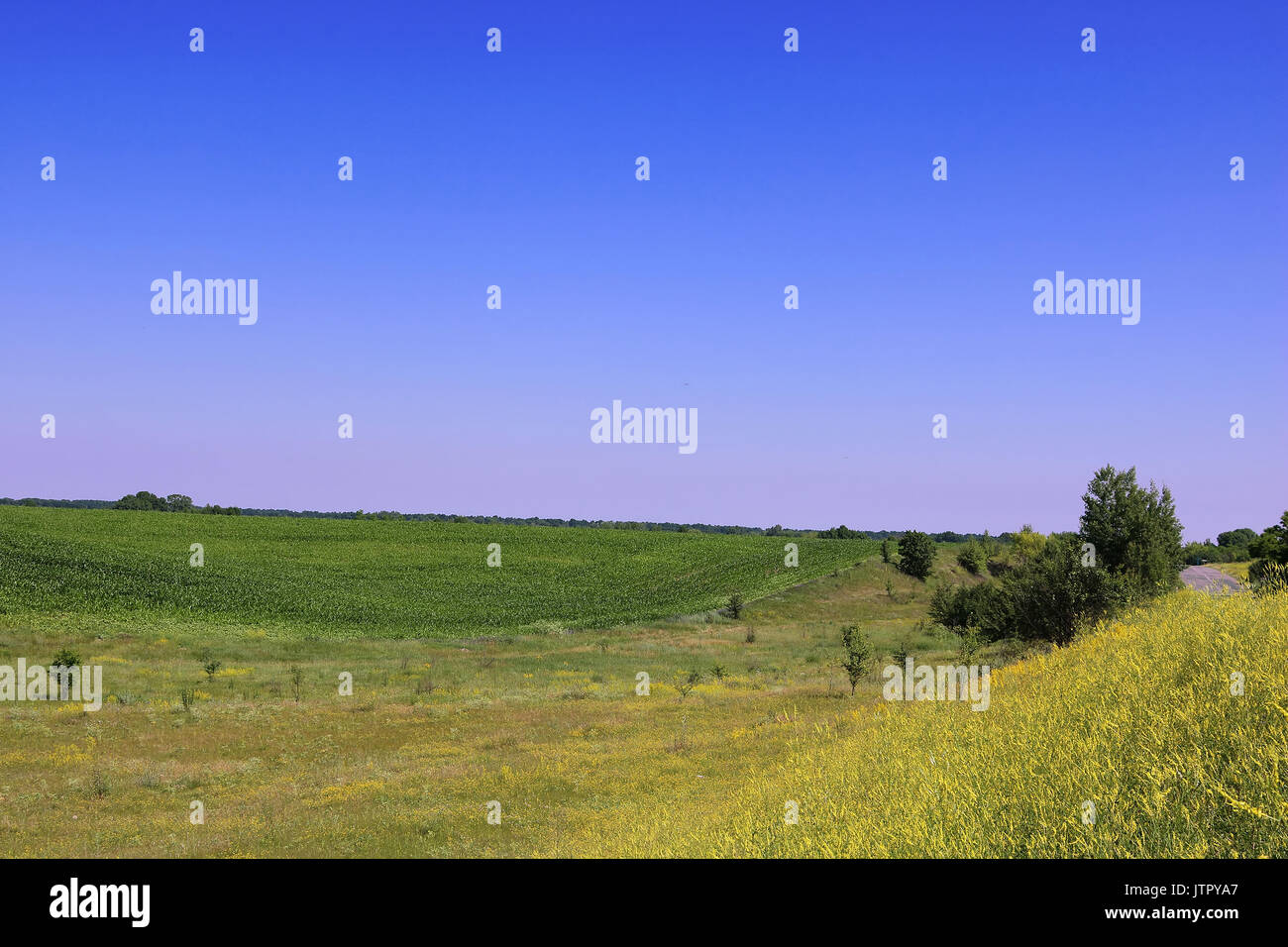 Meadows and fields in the summer Stock Photo