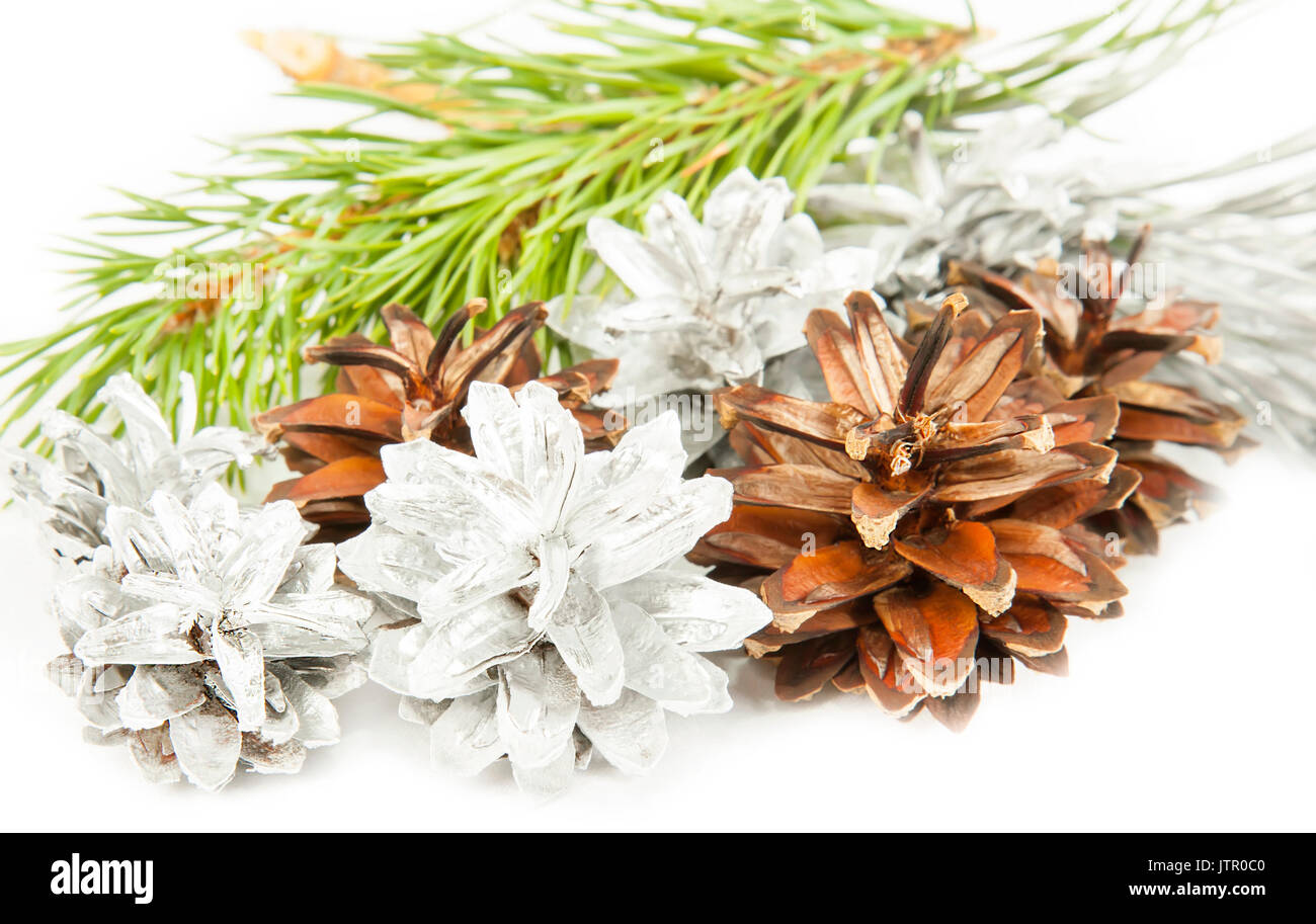 Fir tree branch and silver with brown cones isolated on white background Stock Photo