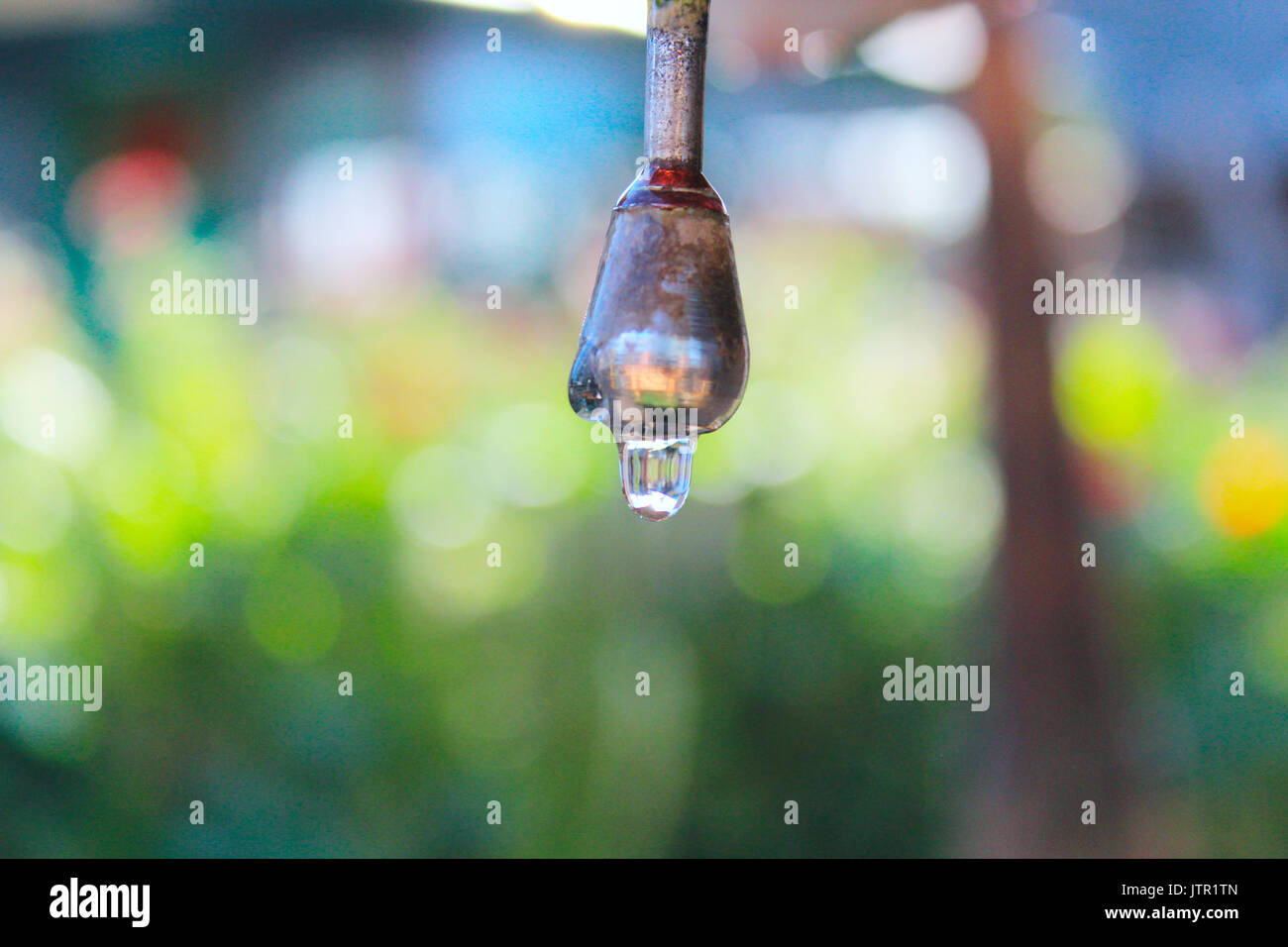 Drop Of Water Dripping From The Washbasin In The Village Stock Photo