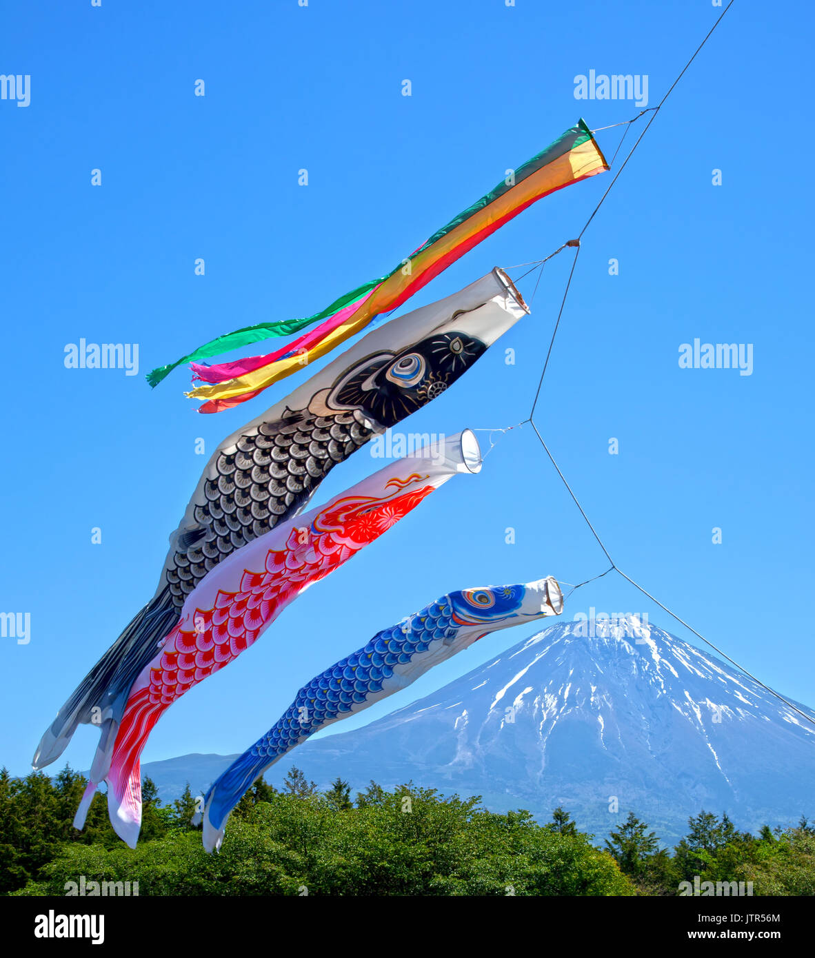 Colourful Koinobori Carp Kites against a clear blue sky at the Asagiri Highlands with Mt. Fuji in the background in Japan Stock Photo