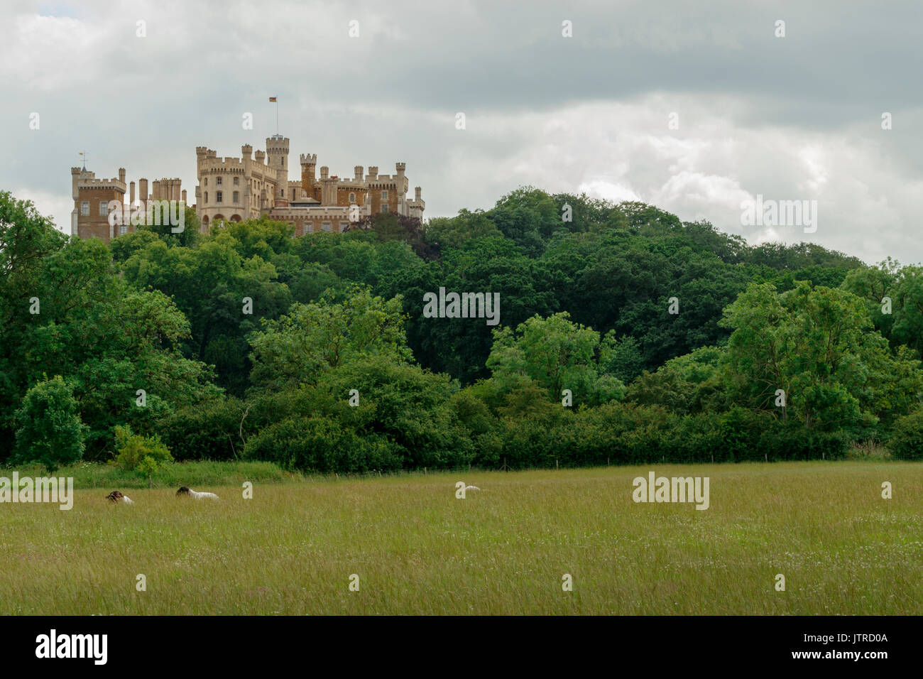 Belvoir castle the home of the Duke and Duchess of Rutland as view across the fields from Woolsthorpe. The castle overlooks The Vale of Belvoir Stock Photo