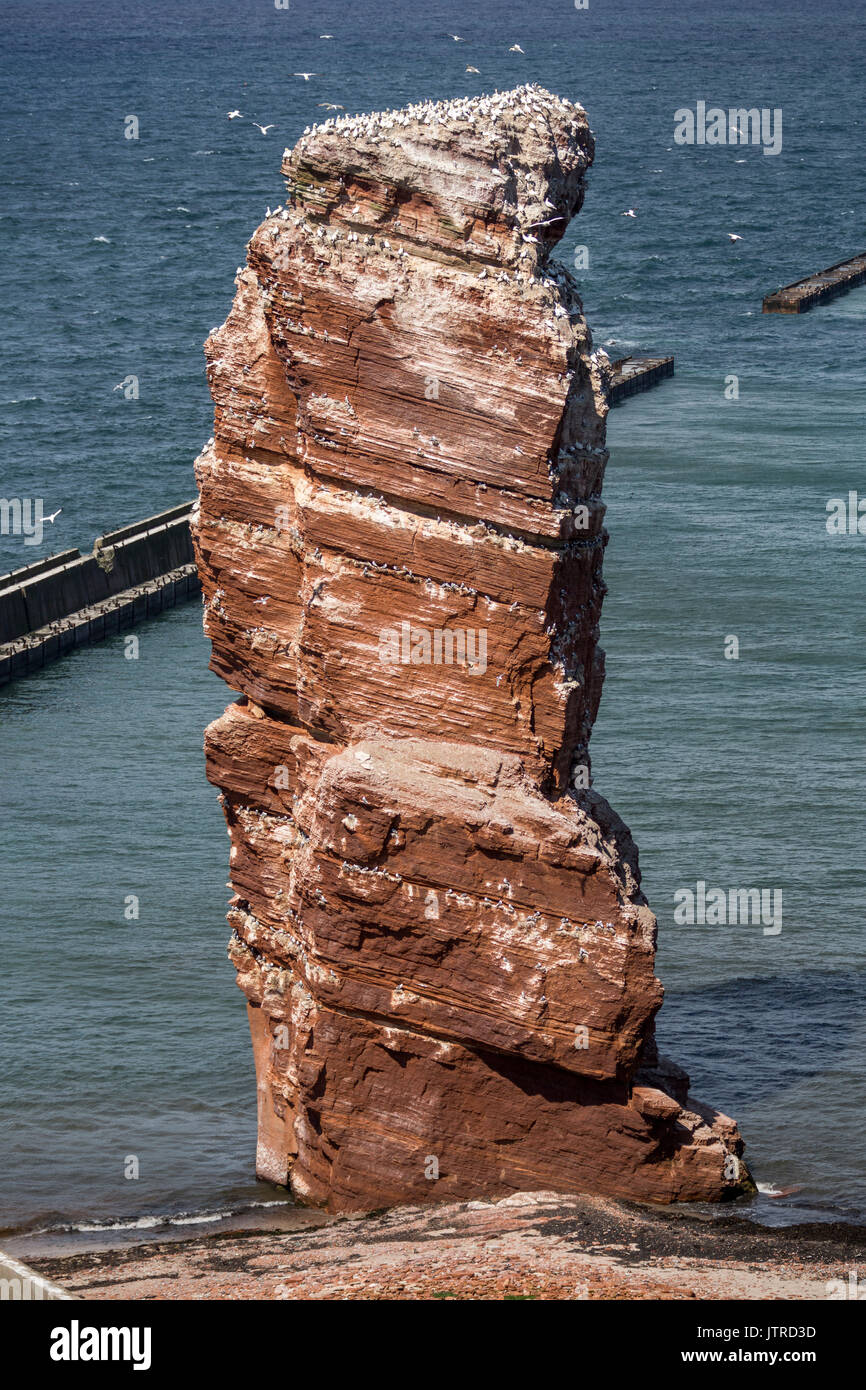 Lange Anna - the high sea stack on the island of Helgoland Stock Photo