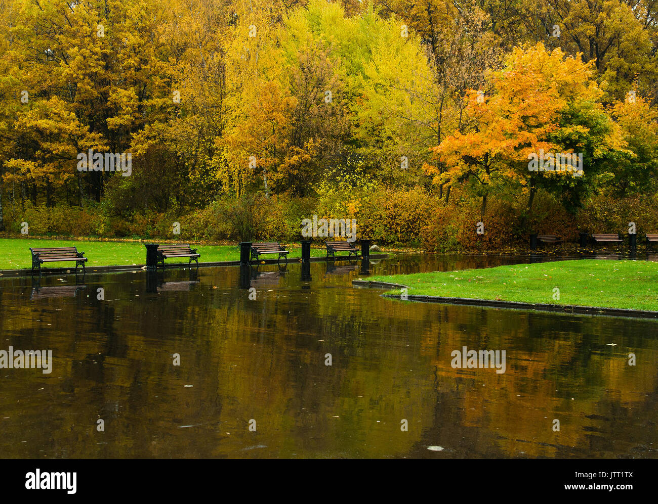 A park by rainy late autumn with yellow trees and their reflection in wet sidewalks. Stock Photo