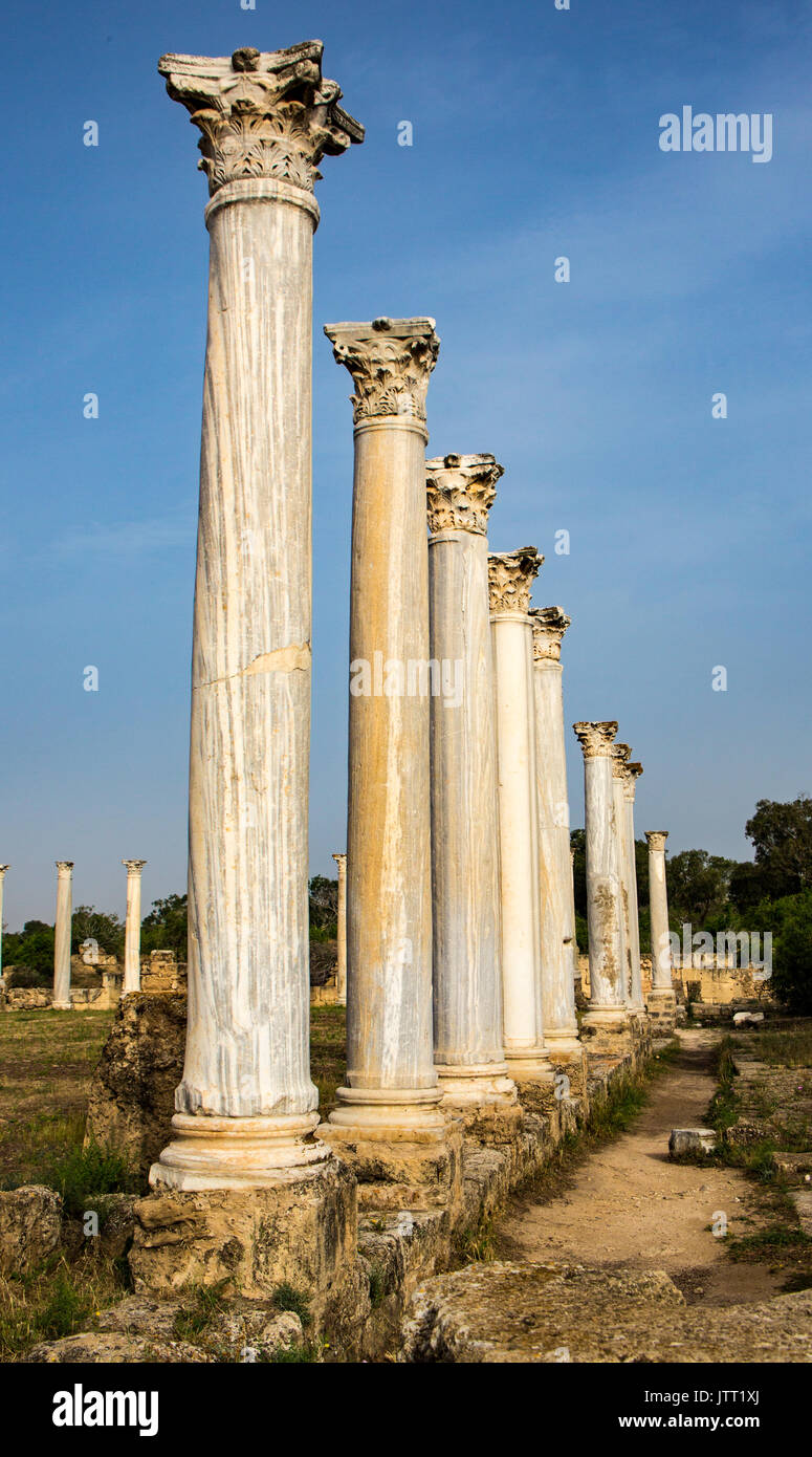 Salamis war hi-res stock photography and images - Alamy