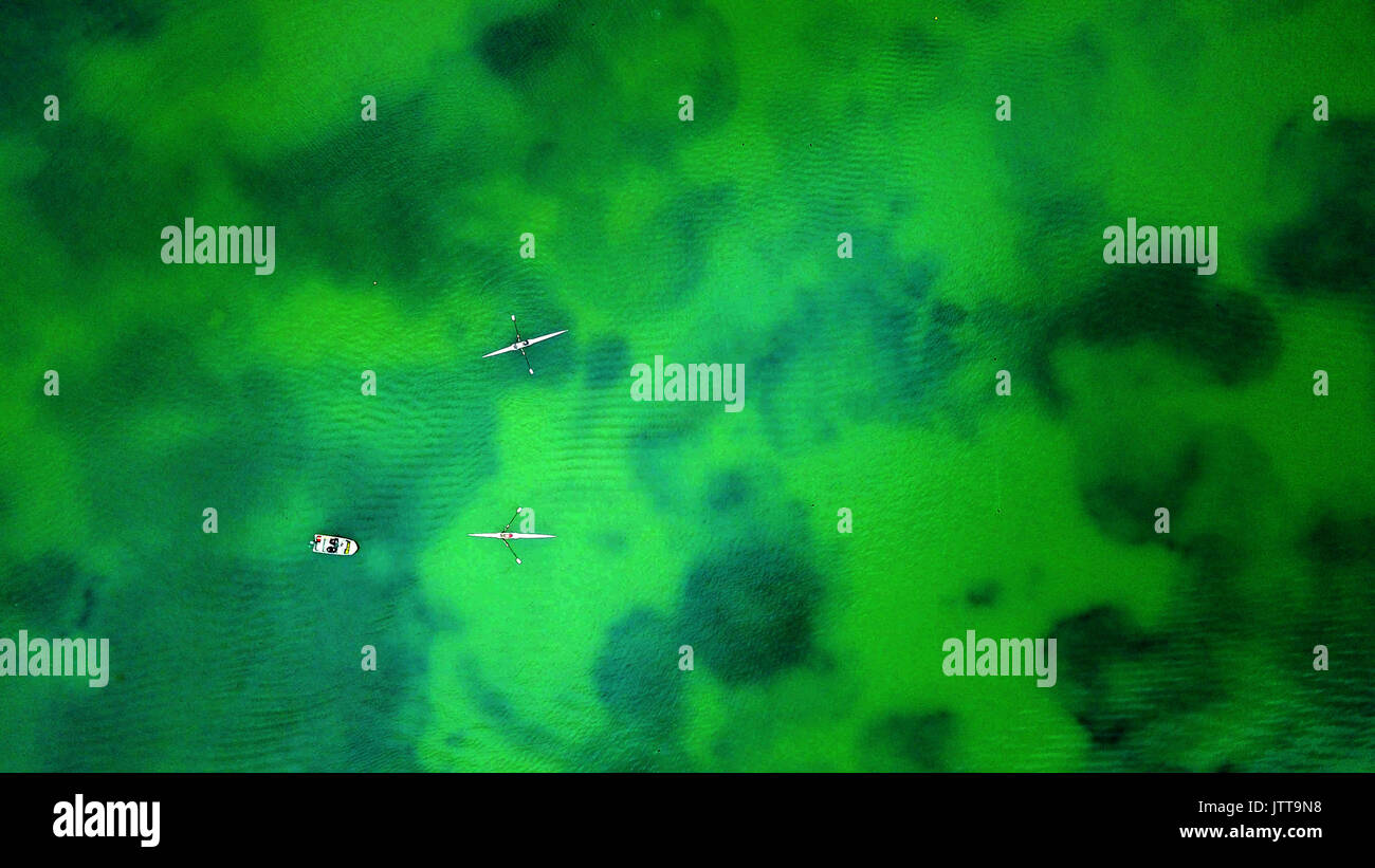 Albert Park rowing paradise Stock Photo Alamy