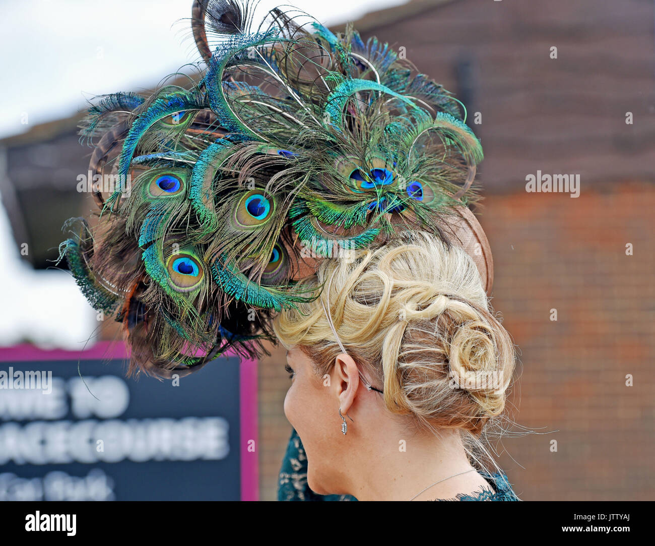 Ladies hats feathers hi-res stock photography and images - Alamy