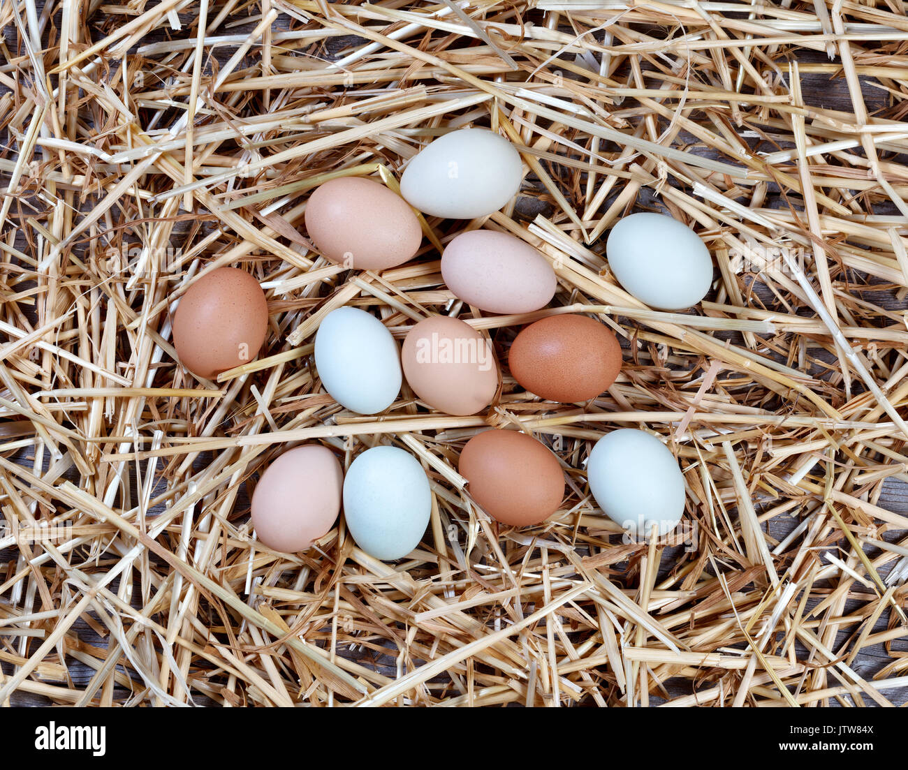 Organic raw eggs in different natural colors on straw and wood for Easter holiday background Stock Photo