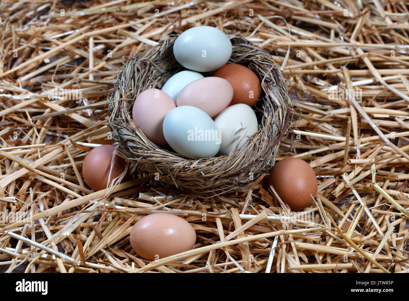 Organic raw eggs in different natural colors in nest egg on straw. Easter holiday background. Stock Photo