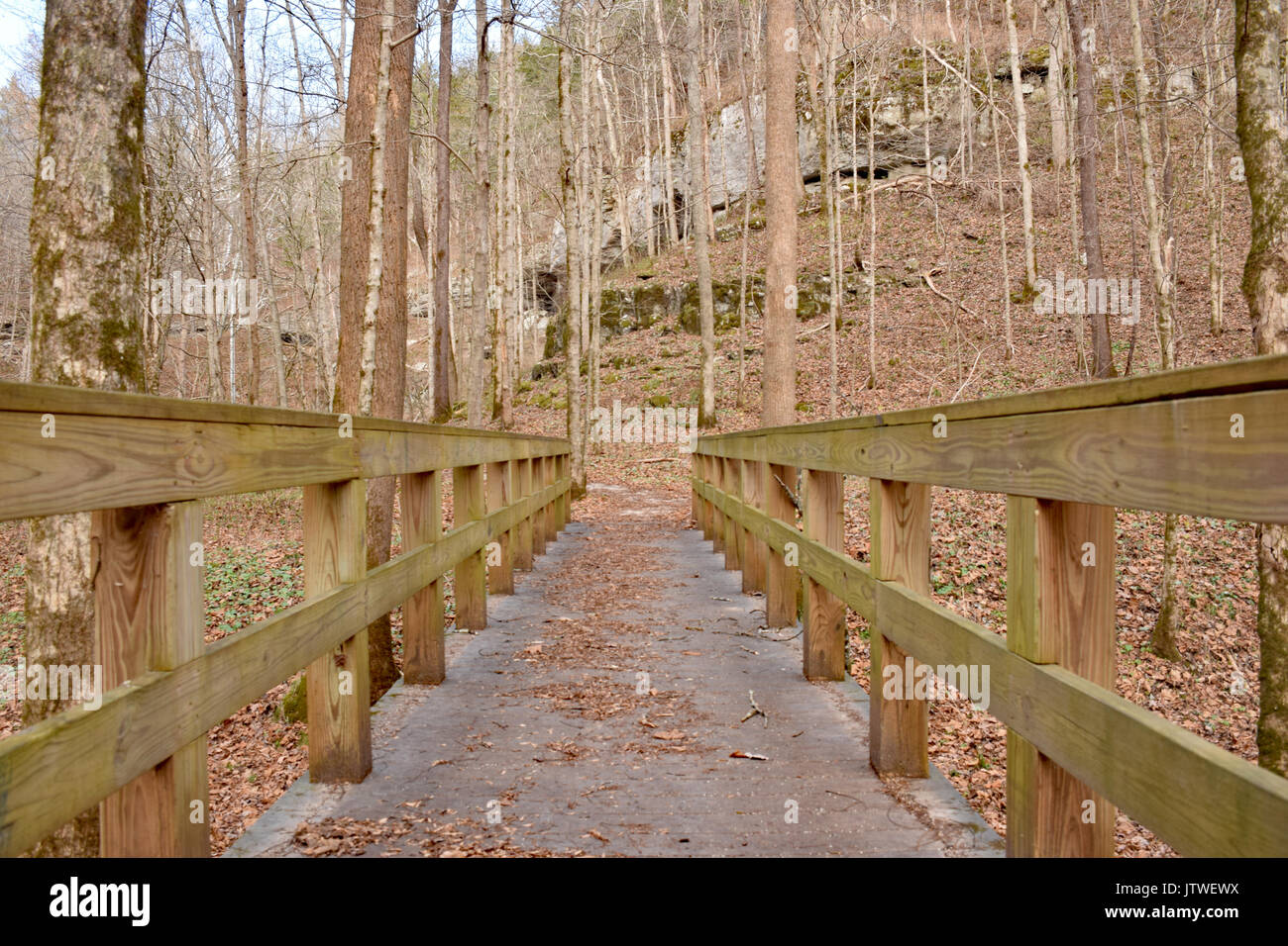 Mammoth Cave Hi-res Stock Photography And Images - Alamy