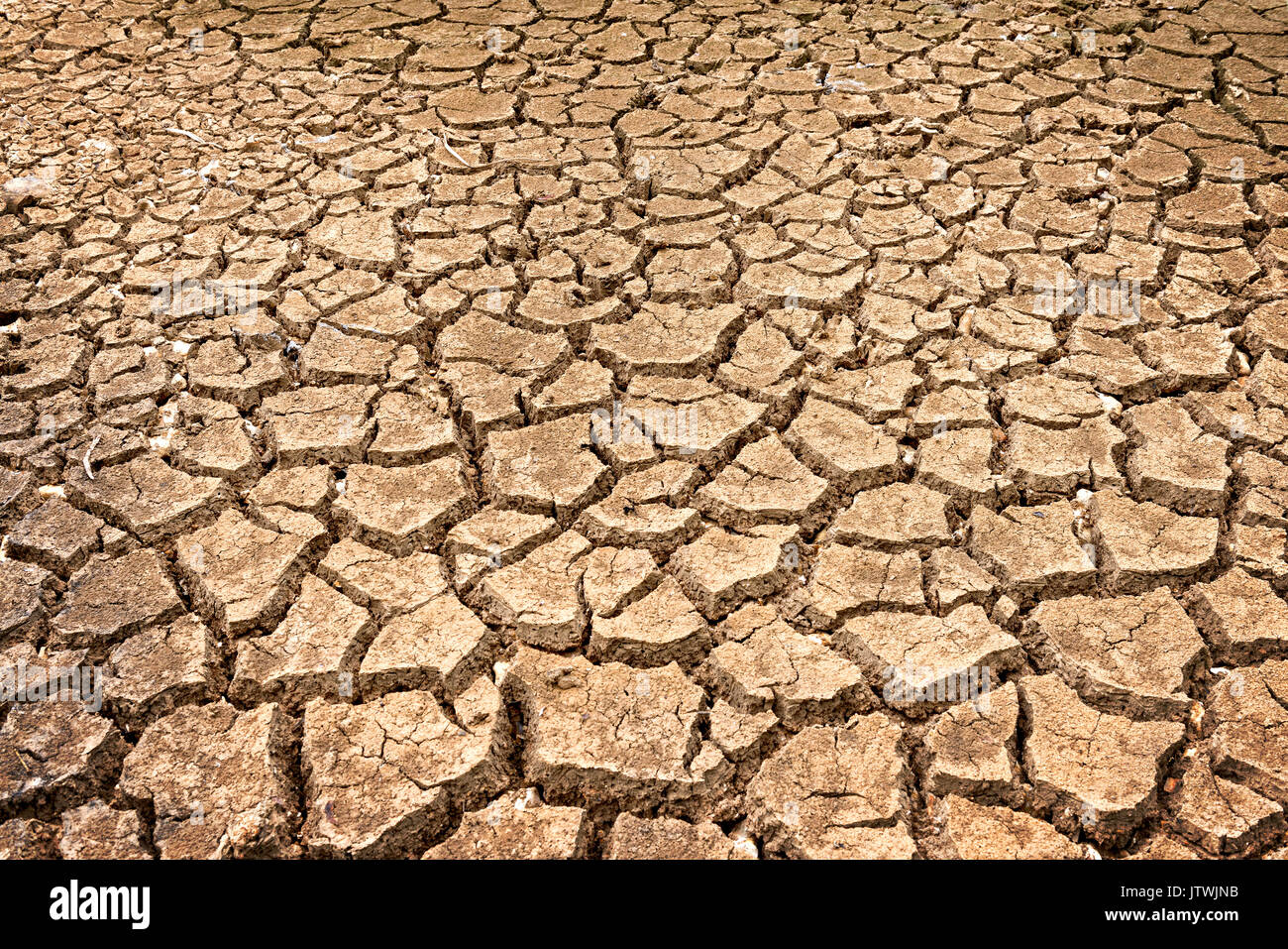 Dehydration hires stock photography and images Alamy