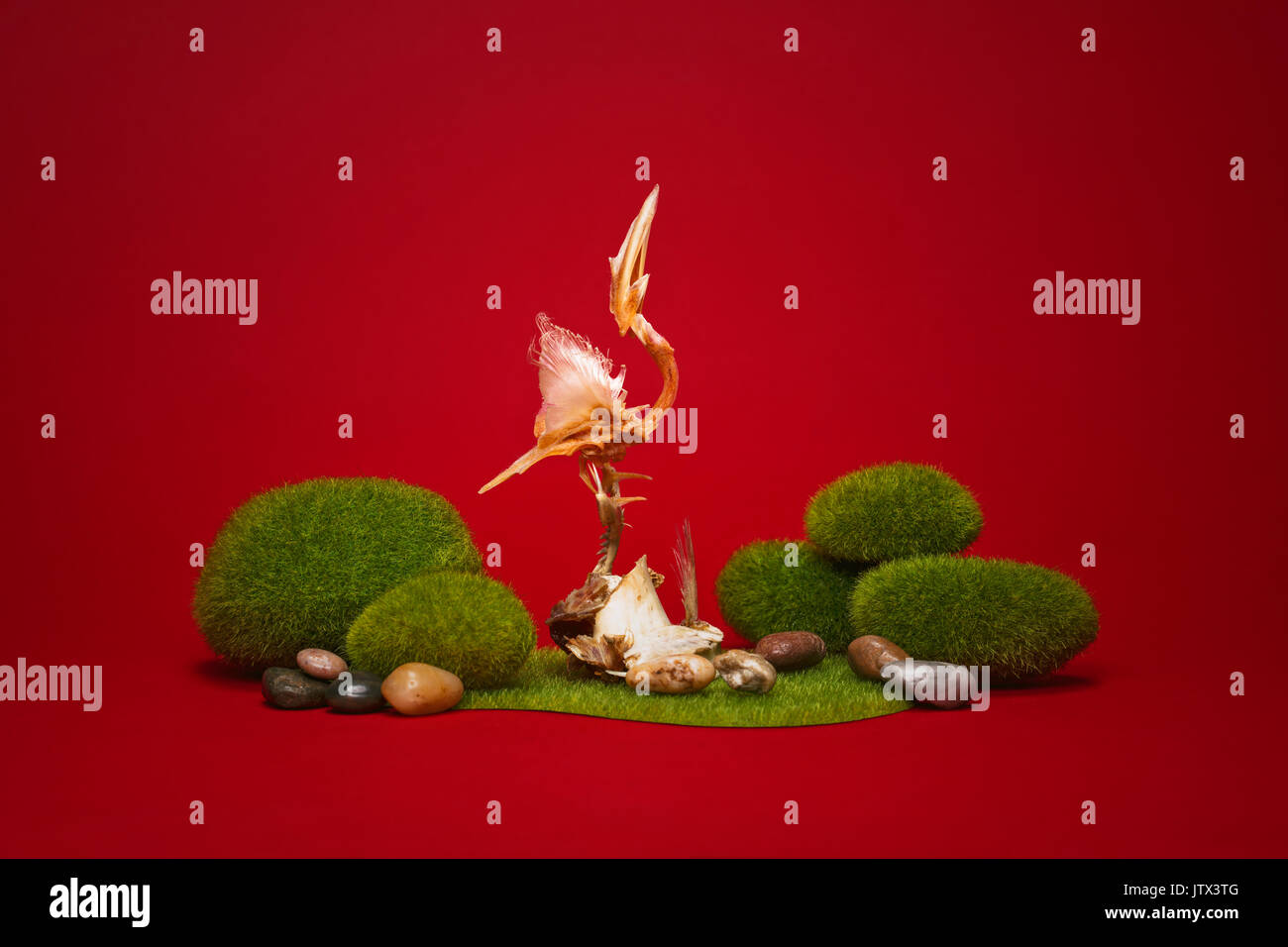 Peace Of Mind Stock Photo Alamy