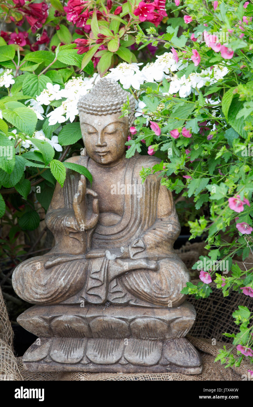 Buddha Garden Ornament and Viburnum Plicatum 'Maresii' plant Stock Photo