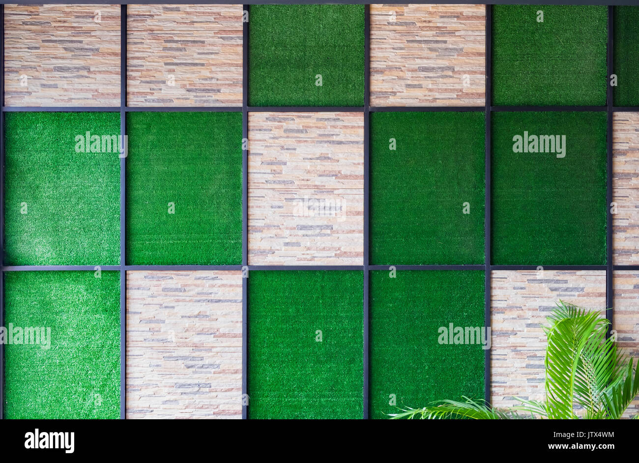 Wall of stone and artificial grass background with metal frame and palm  tree decoration in rest room Stock Photo - Alamy